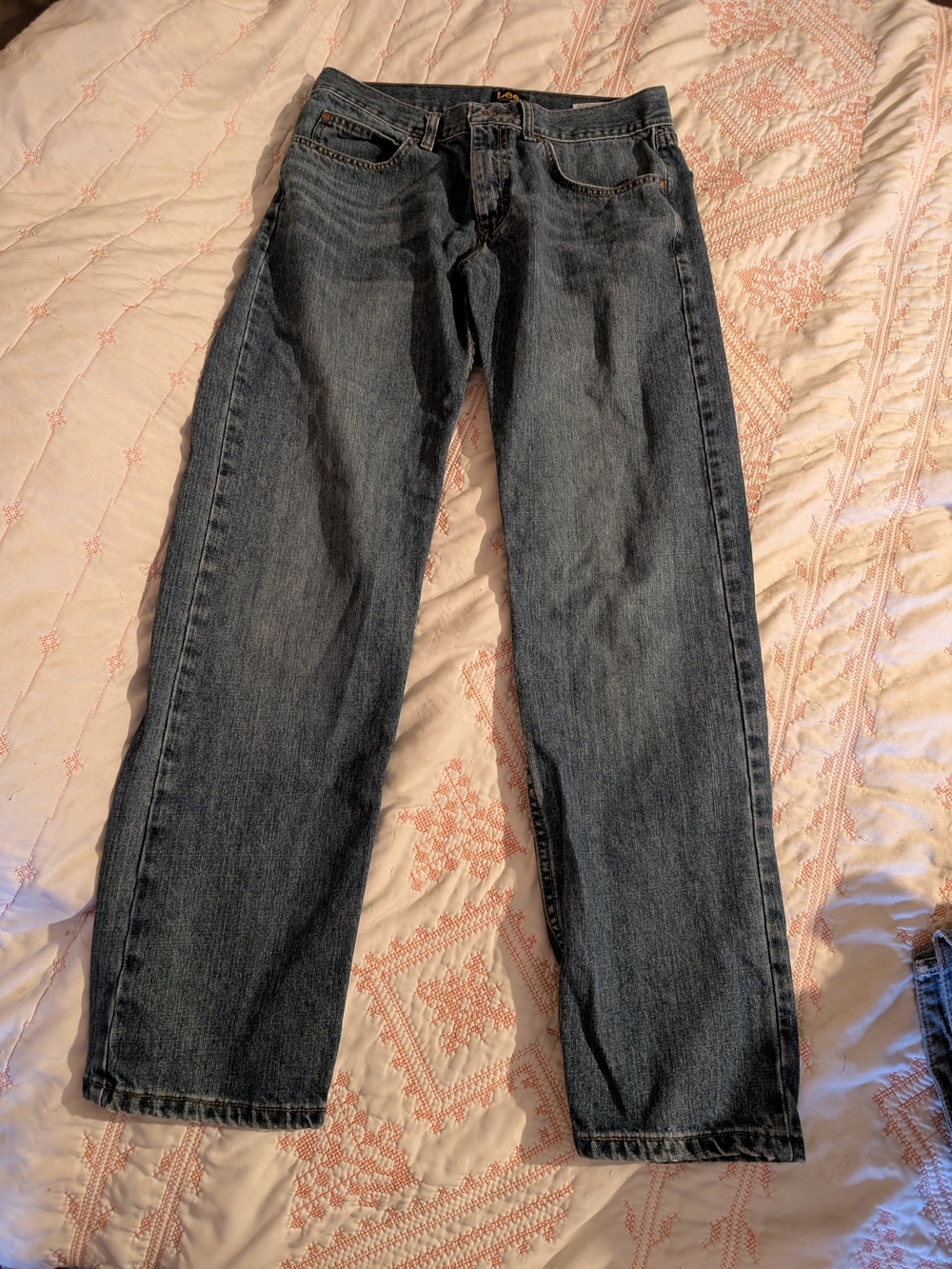 Lee Men's Straight Leg Jeans in Dark Blue Denim
